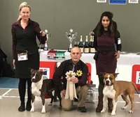 Bästa Svenskfödda tik&hane- Vinterspecialen CT Queen of The Nihgt & CT FirecrackerJudge Frans Diaz 2018
