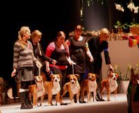 BIS Avel Zican's A Heart of Gold Hundmässan 2010