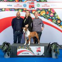 EDS Warzawa Capa Tosta Lupetta 2018