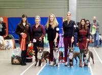 BIS Supreme Vinterspecilalen 2018